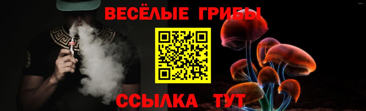 Псилоцибиновые грибы прущие грибы Биробиджан